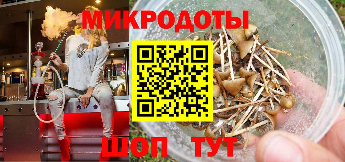 Псилоцибиновые грибы MAGIC MUSHROOMS Минеральные Воды